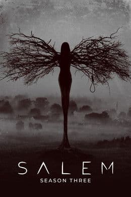 Salem S3