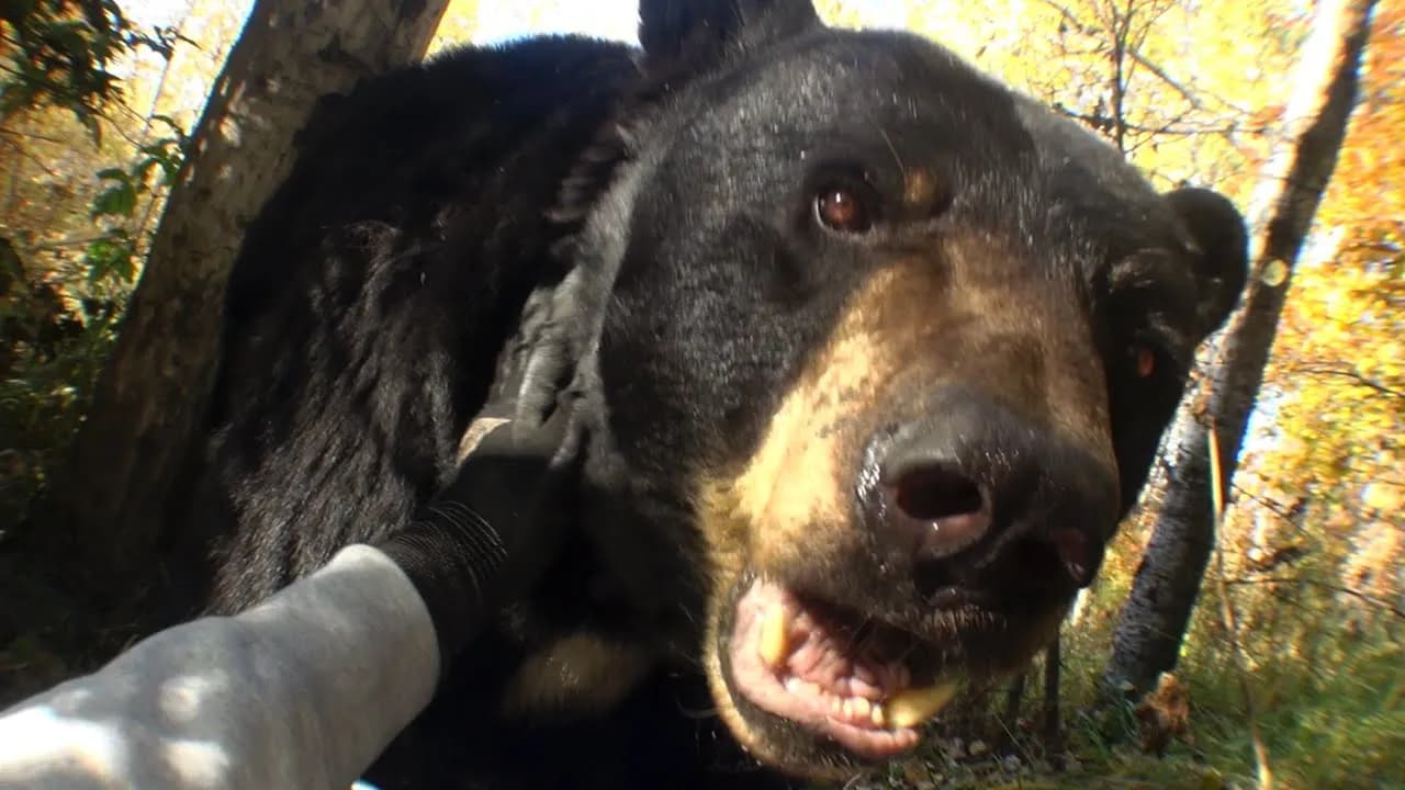 Joji - Past Won't Leave My Bed (Official Video)