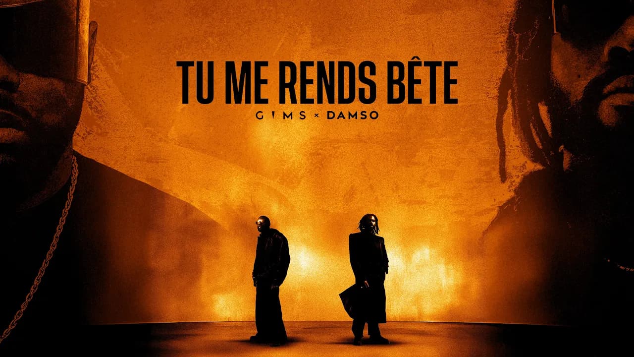 GIMS & DAMSO - TU ME RENDS BĂTE (Official Lyrics VidĂ©o)
