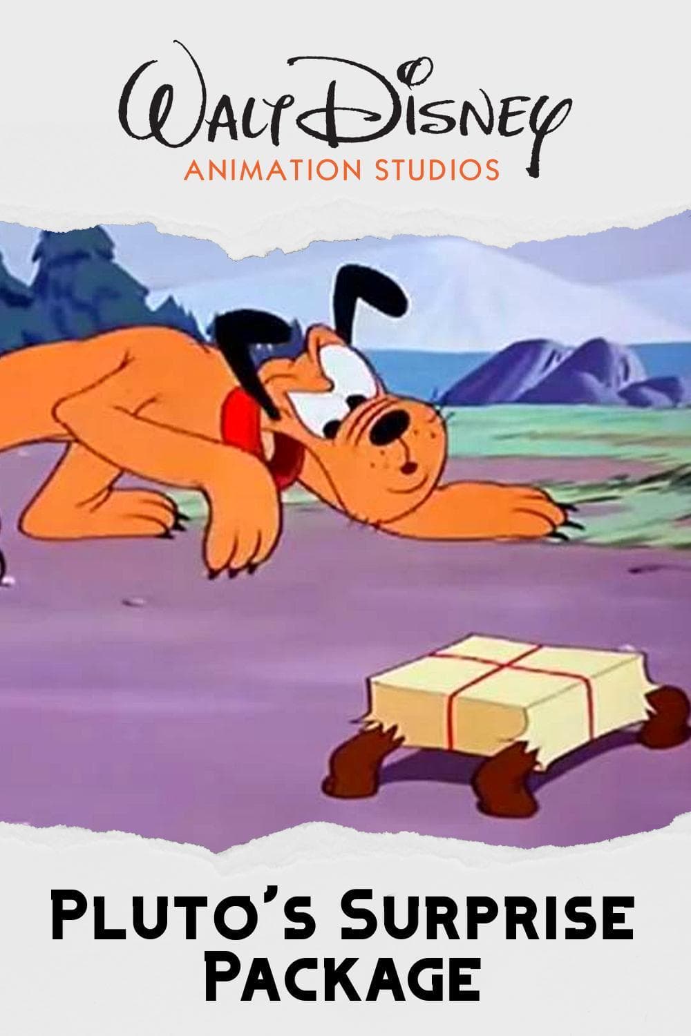 Pluto's Surprise Package