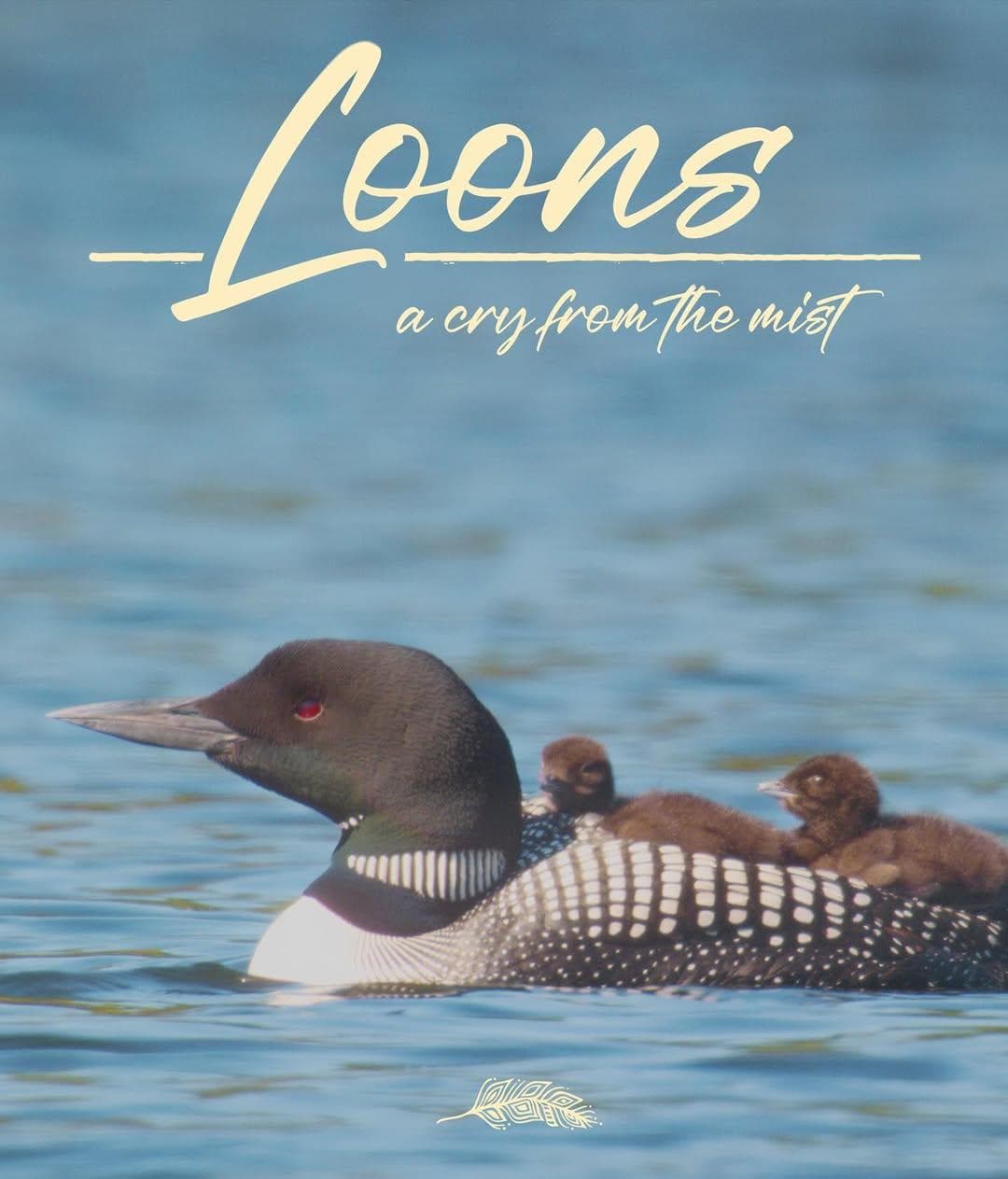 Loons: A Cry from the Mist