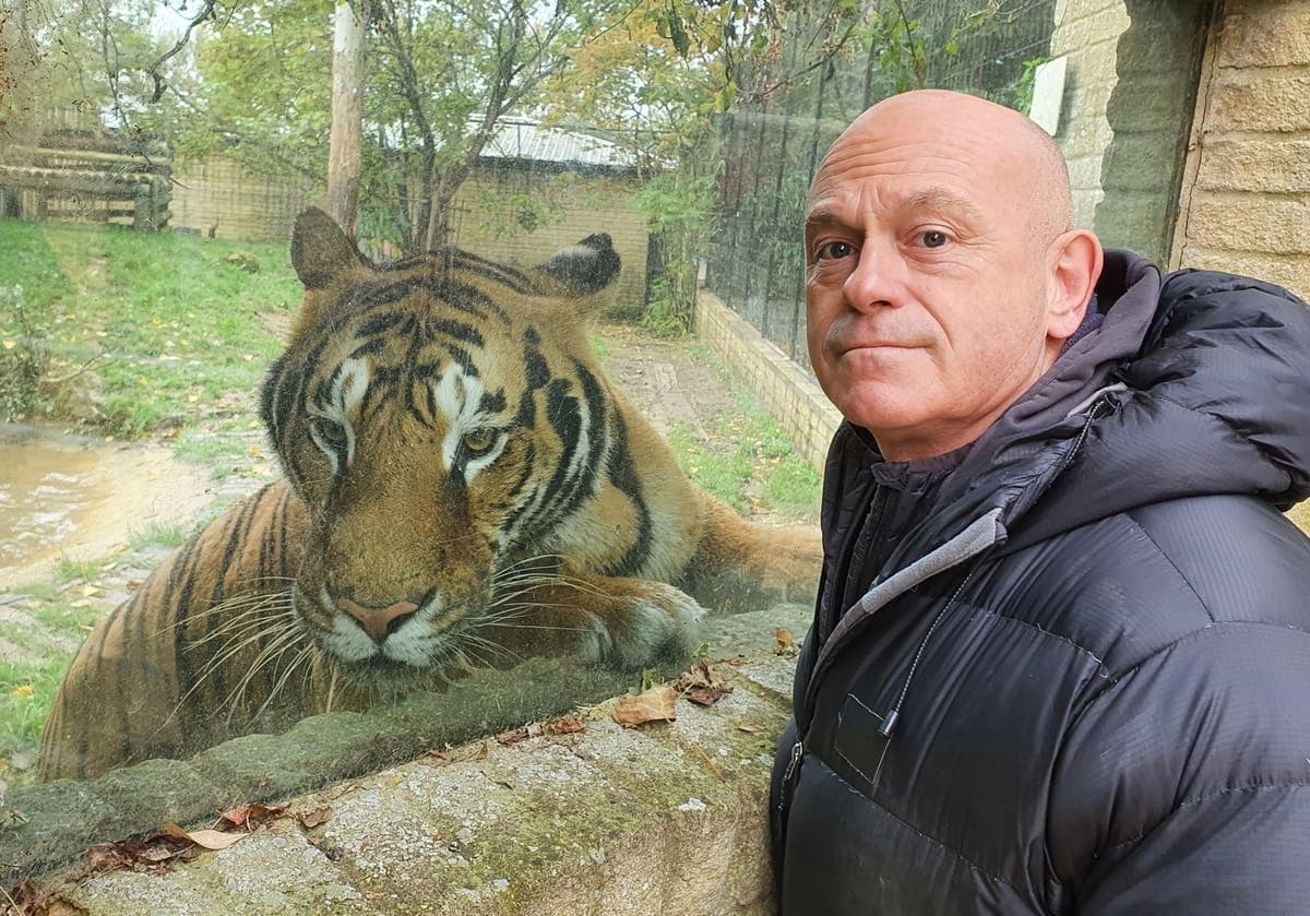 Britain's Tiger Kings - On the Trail with Ross Kemp