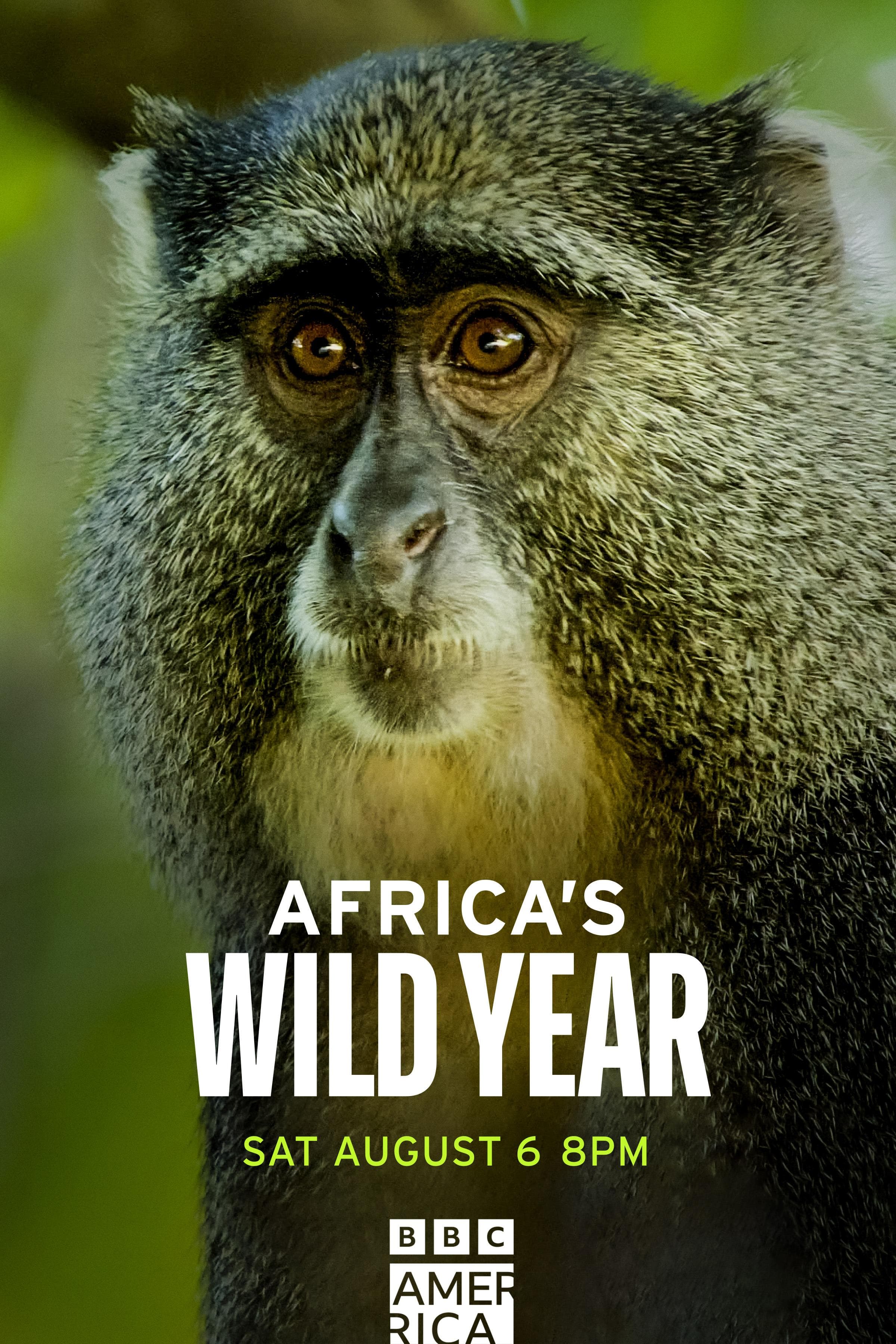 Africa's Wild Year
