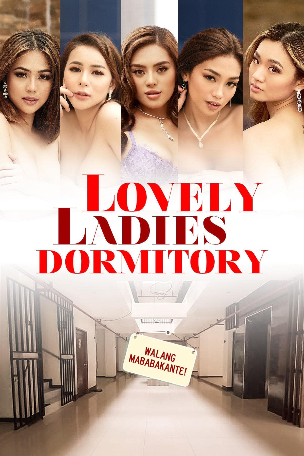 Lovely Ladies Dormitory