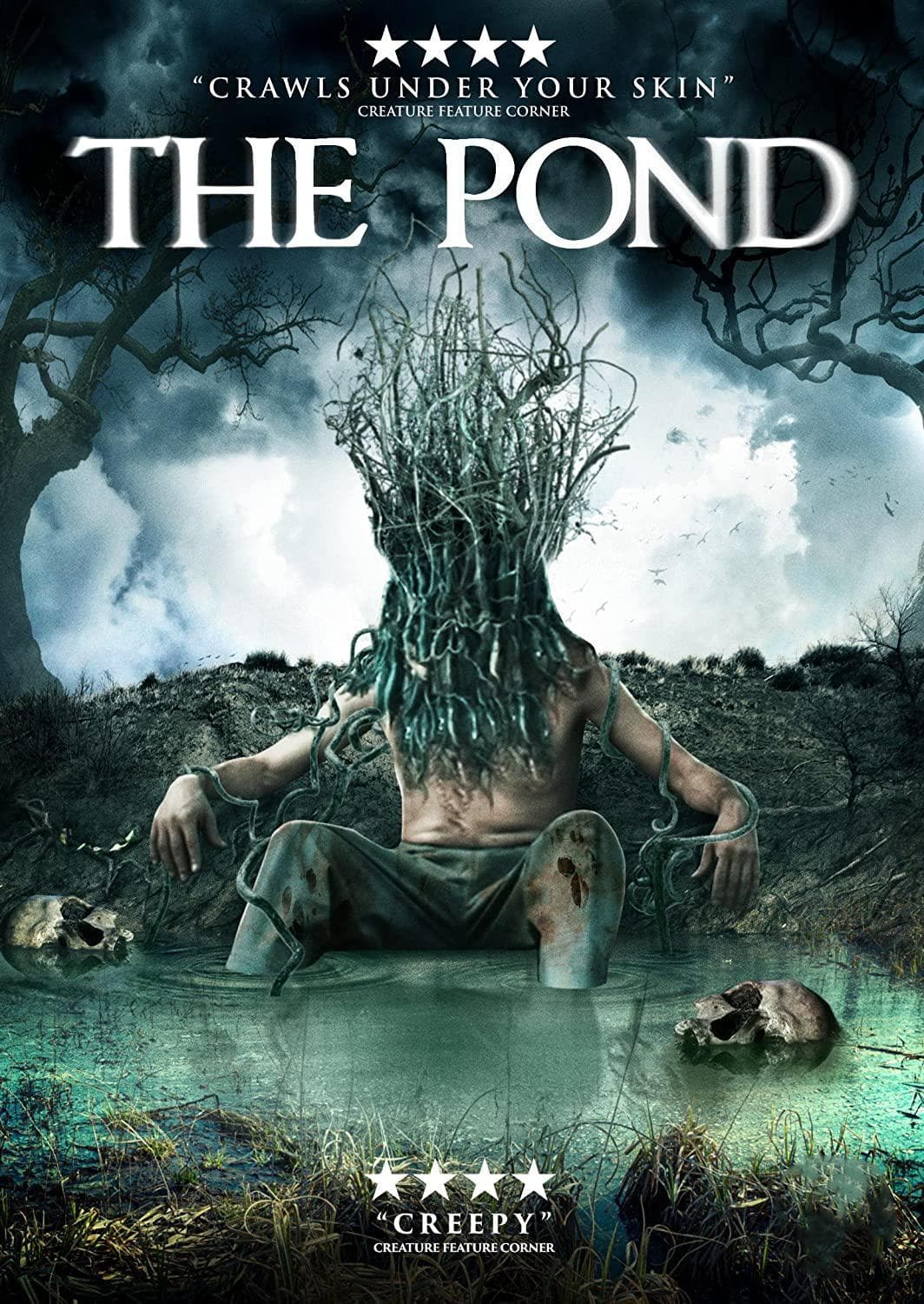 The Pond