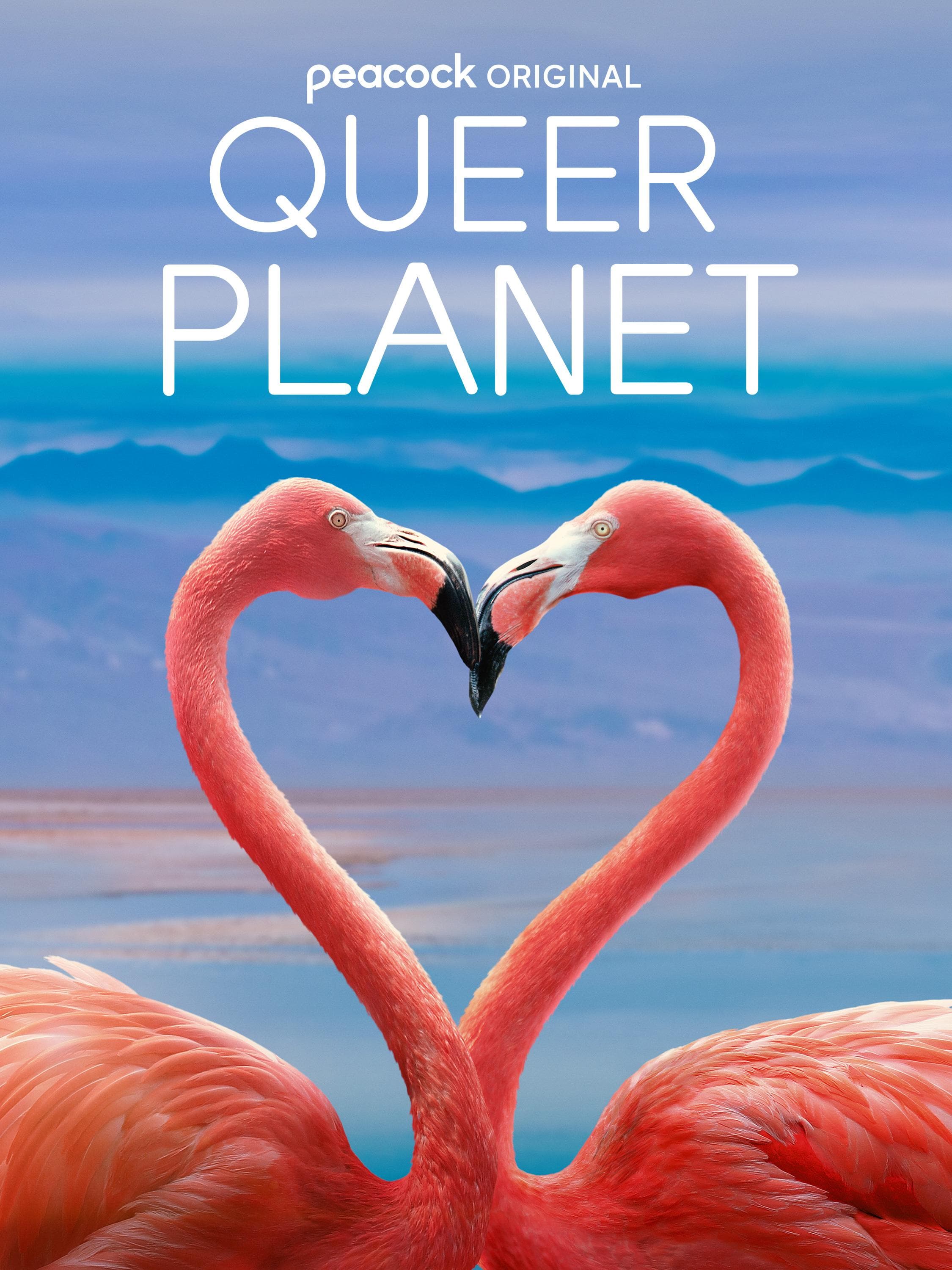 Queer Planet