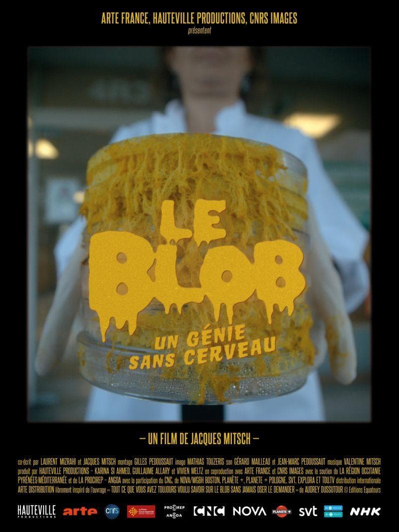 The Blob: A Genius Without a Brain