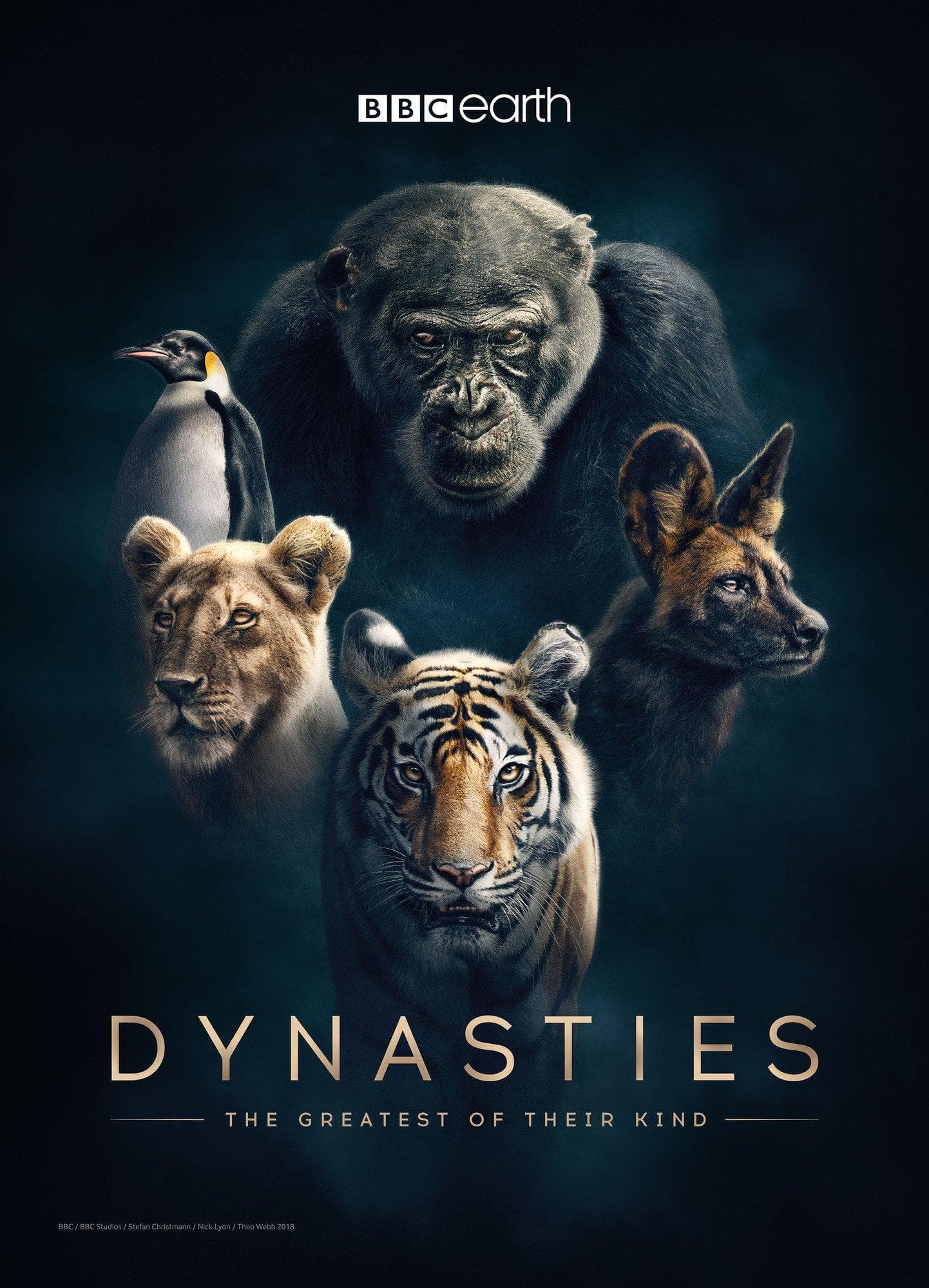 Dynasties S1-S2