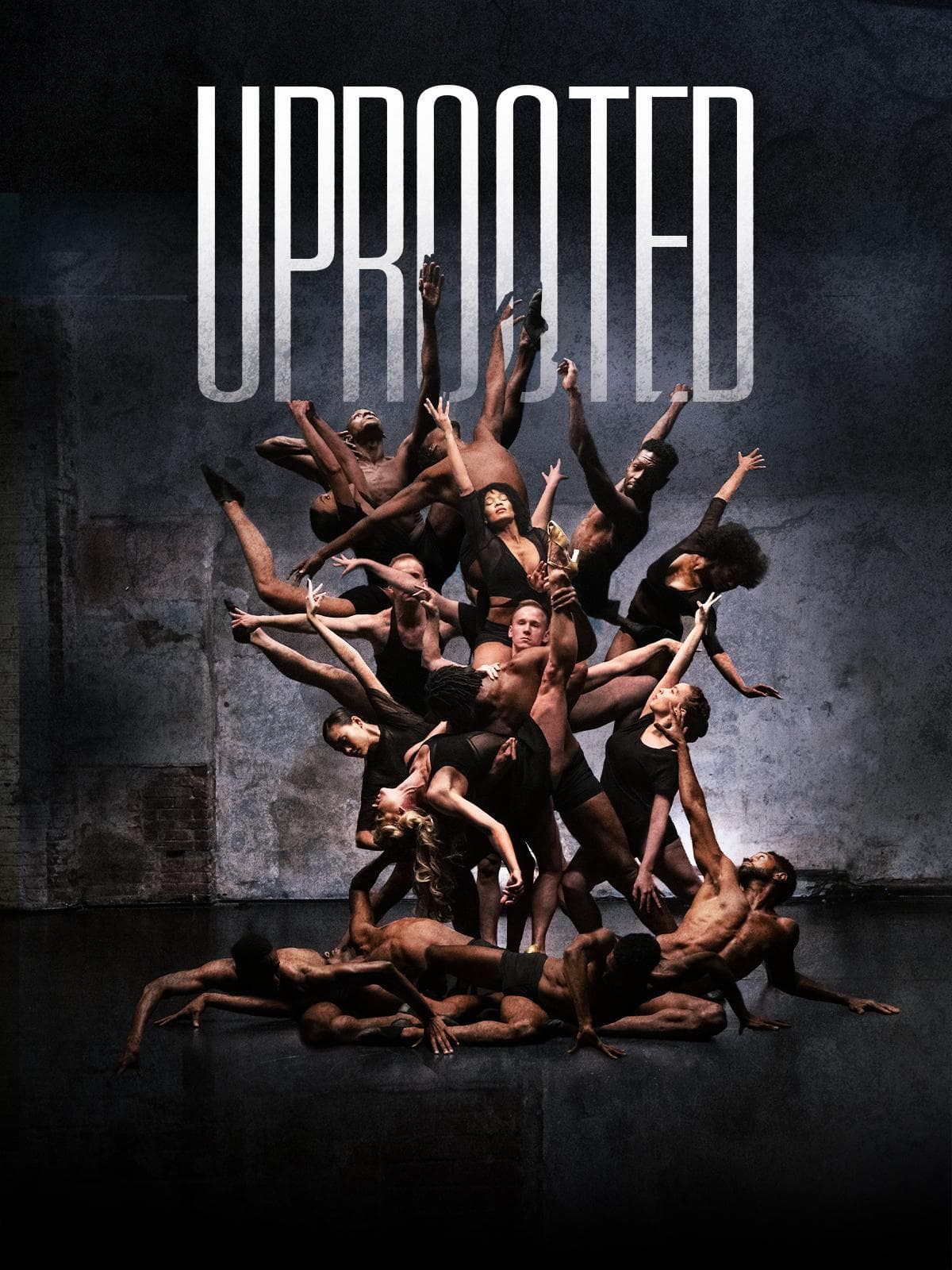 Uprooted: The Journey of Jazz Dance