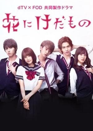 Flower and the Beast