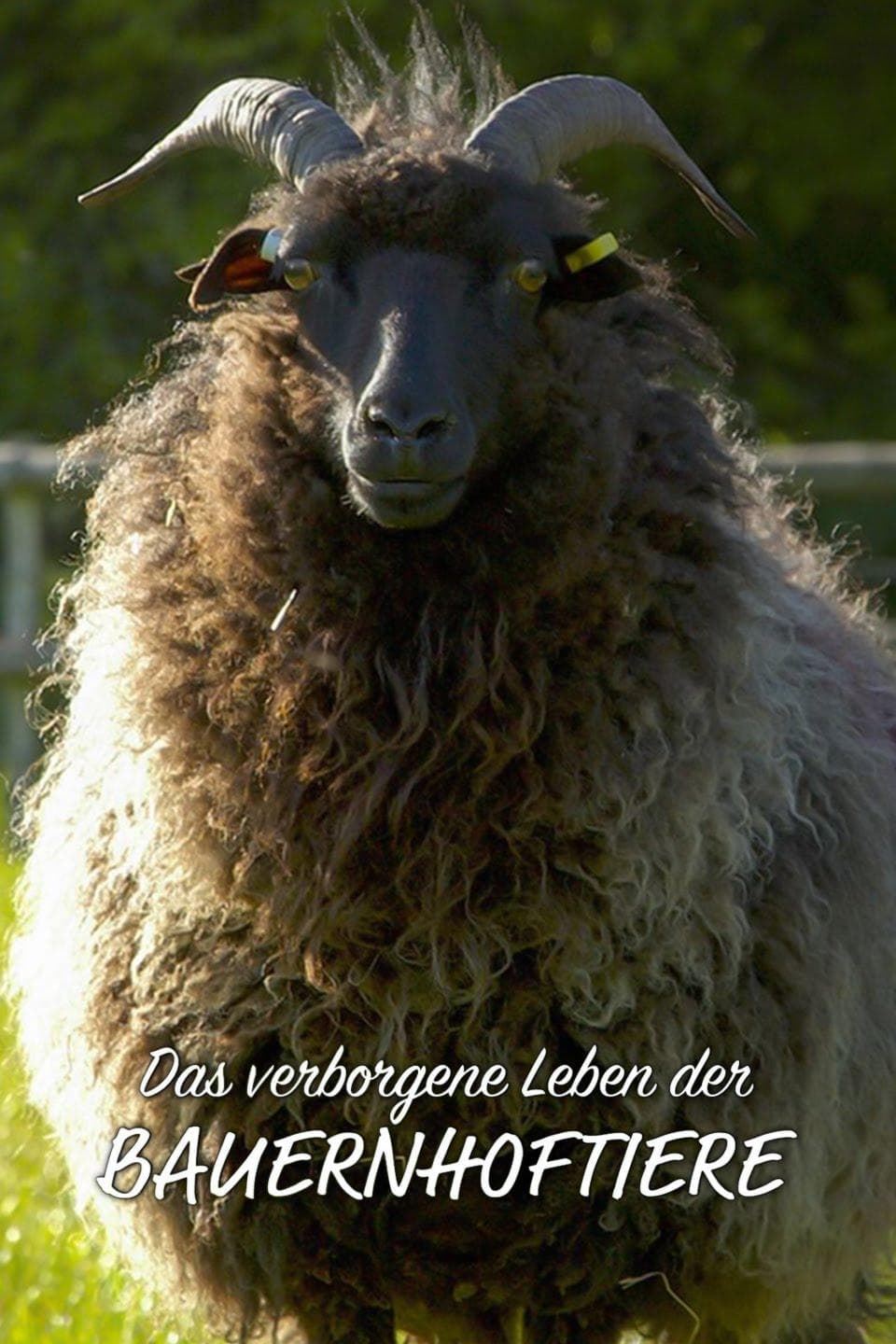 Wild Tales from the Farm