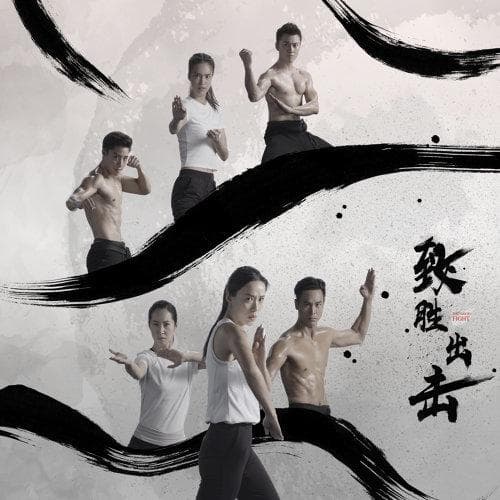 The Good Fight S2-S6