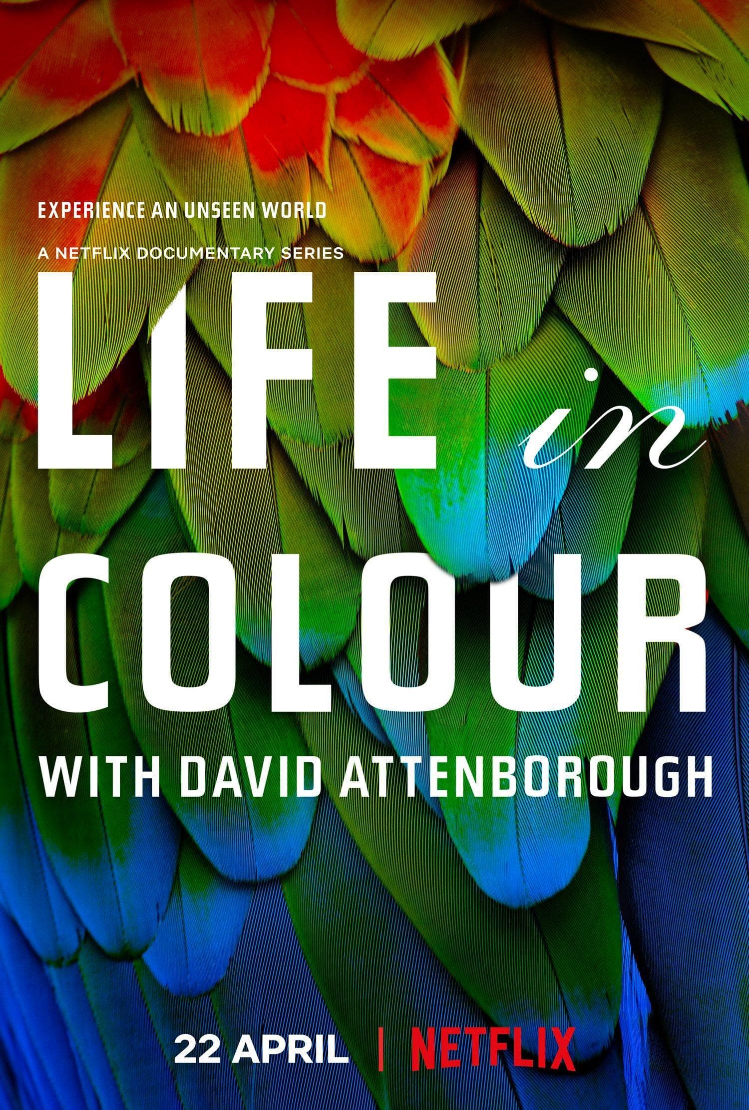 Life in Colour