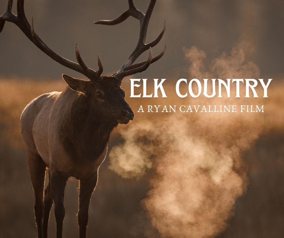 Elk Country