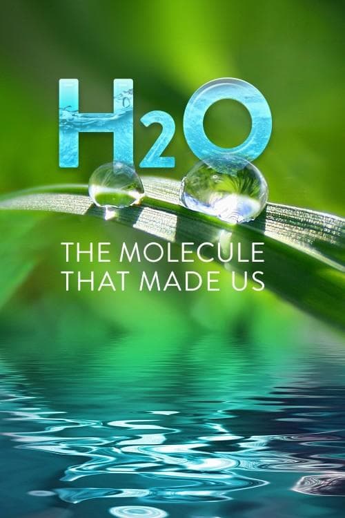H2O: The Molecule That Made Us