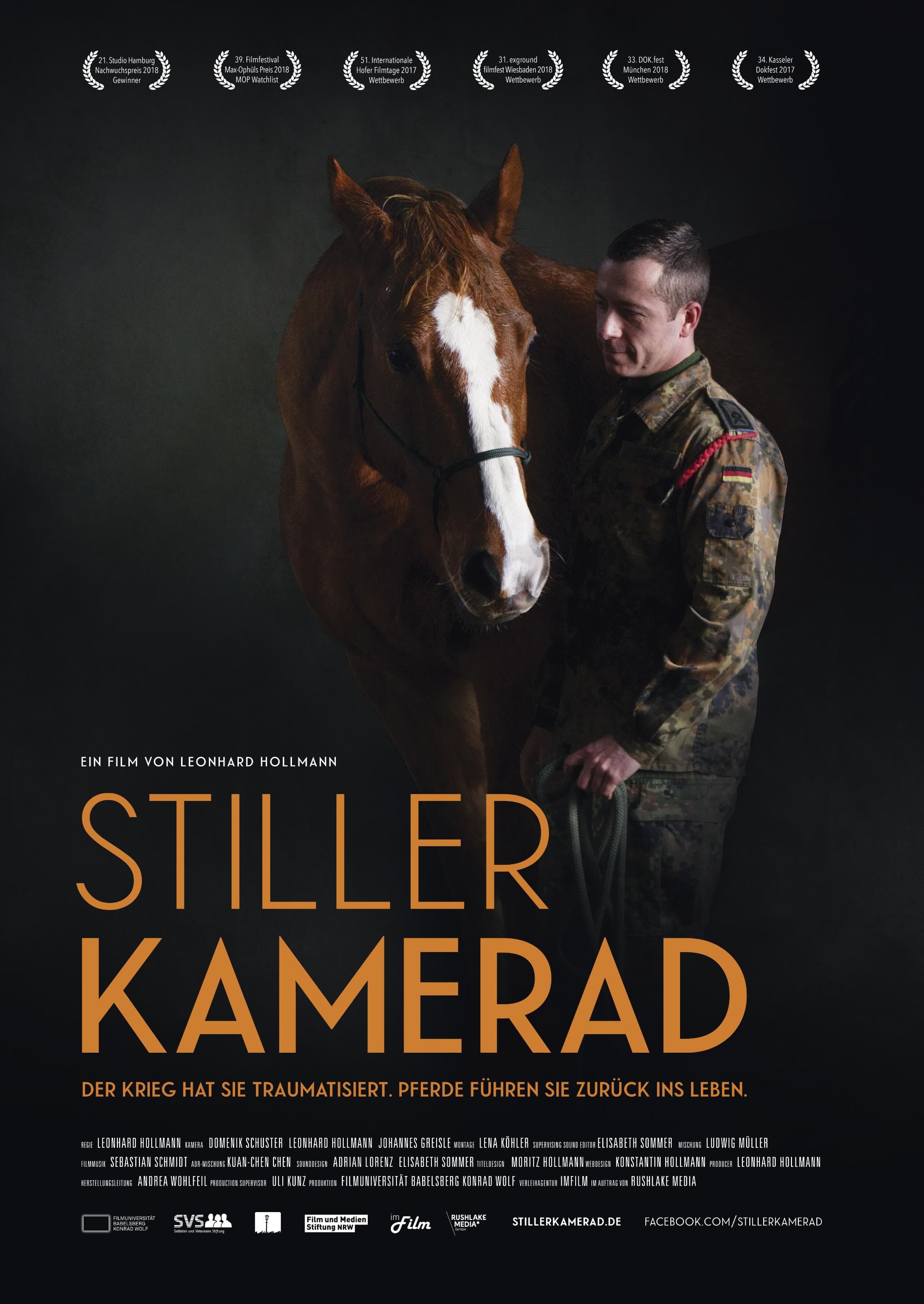 Silent Comrade: How Horses Help Soldiers to Overcome Their Trauma