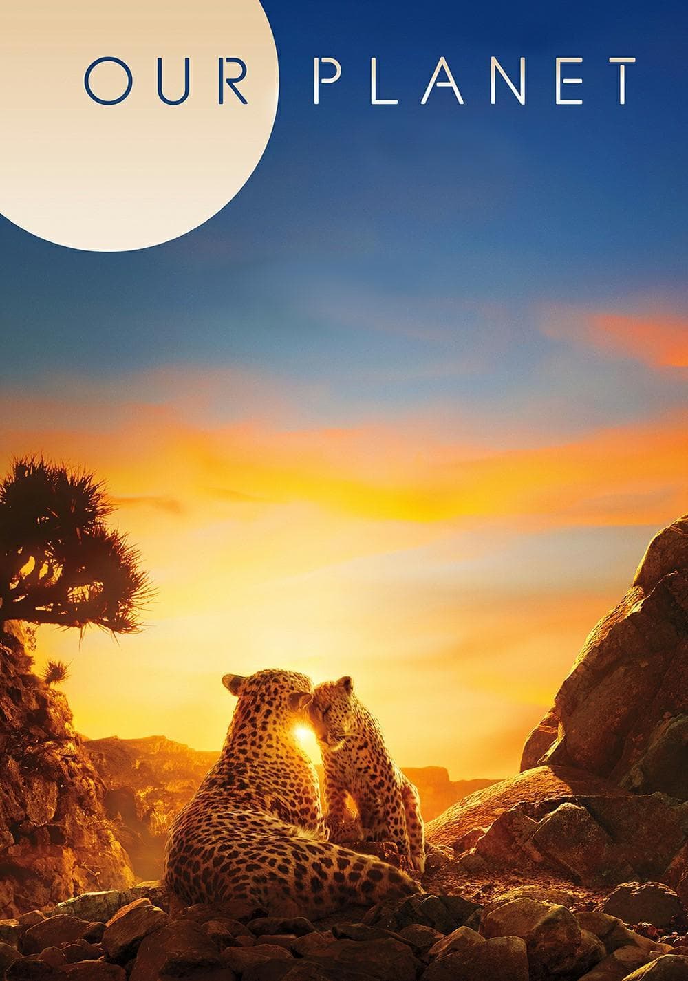 Our Planet S1-S2