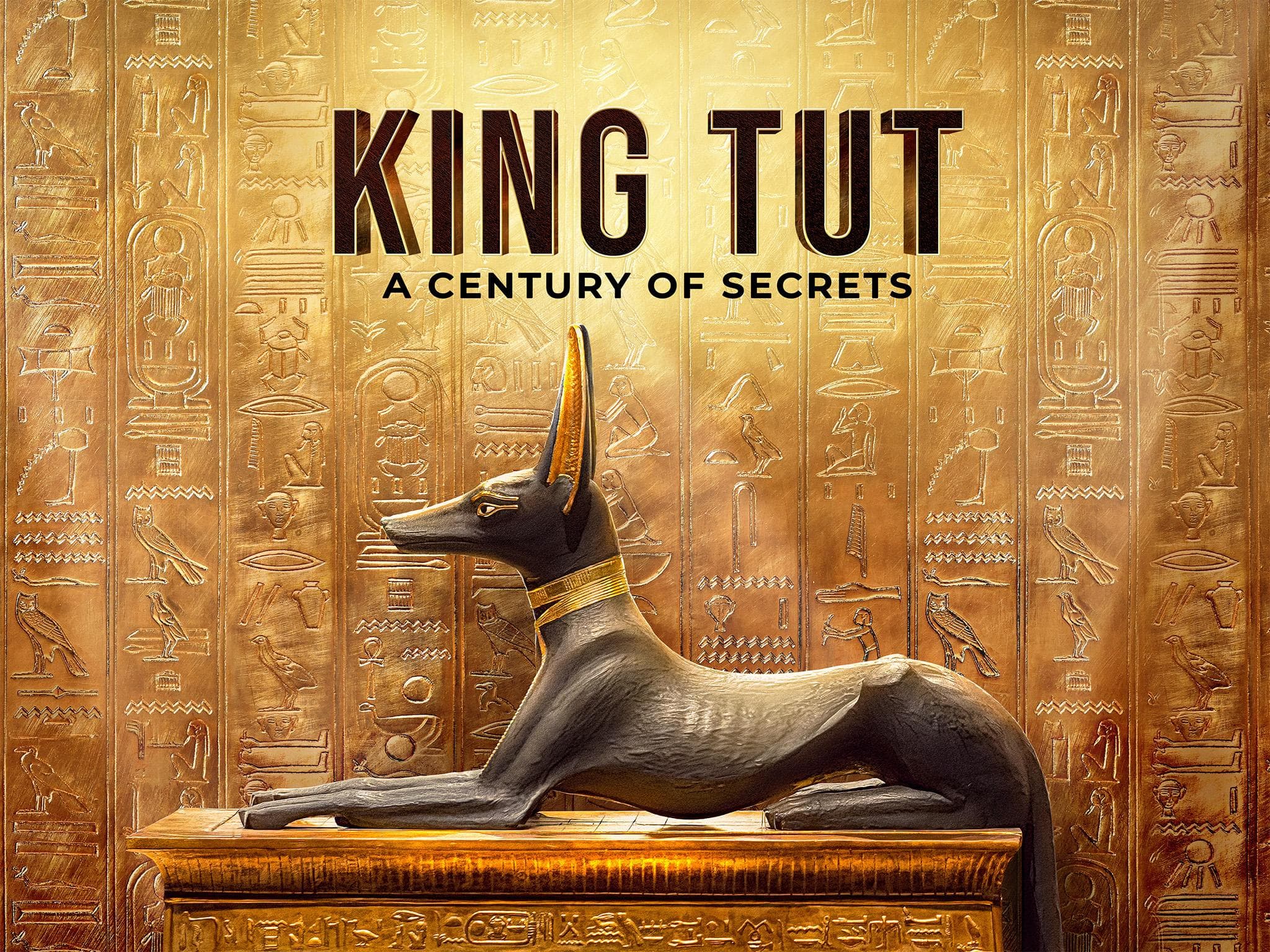 King Tut: A Century of Secrets