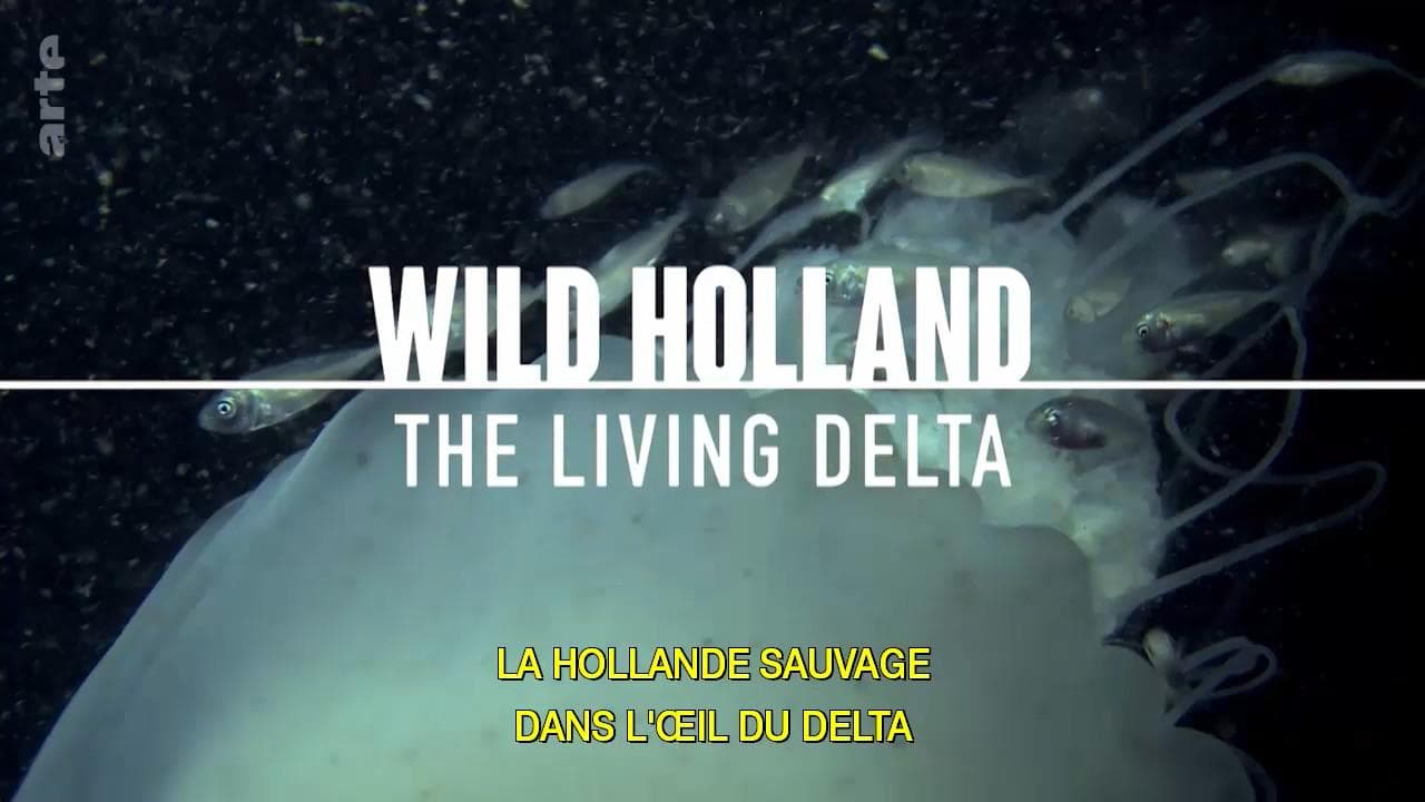 Wild Holland
