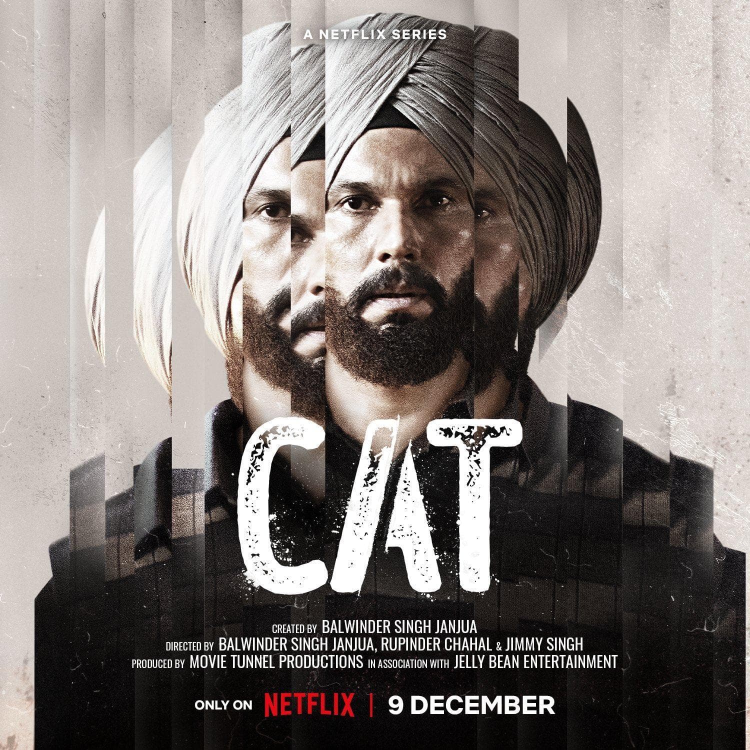 Cat [punjabi]
