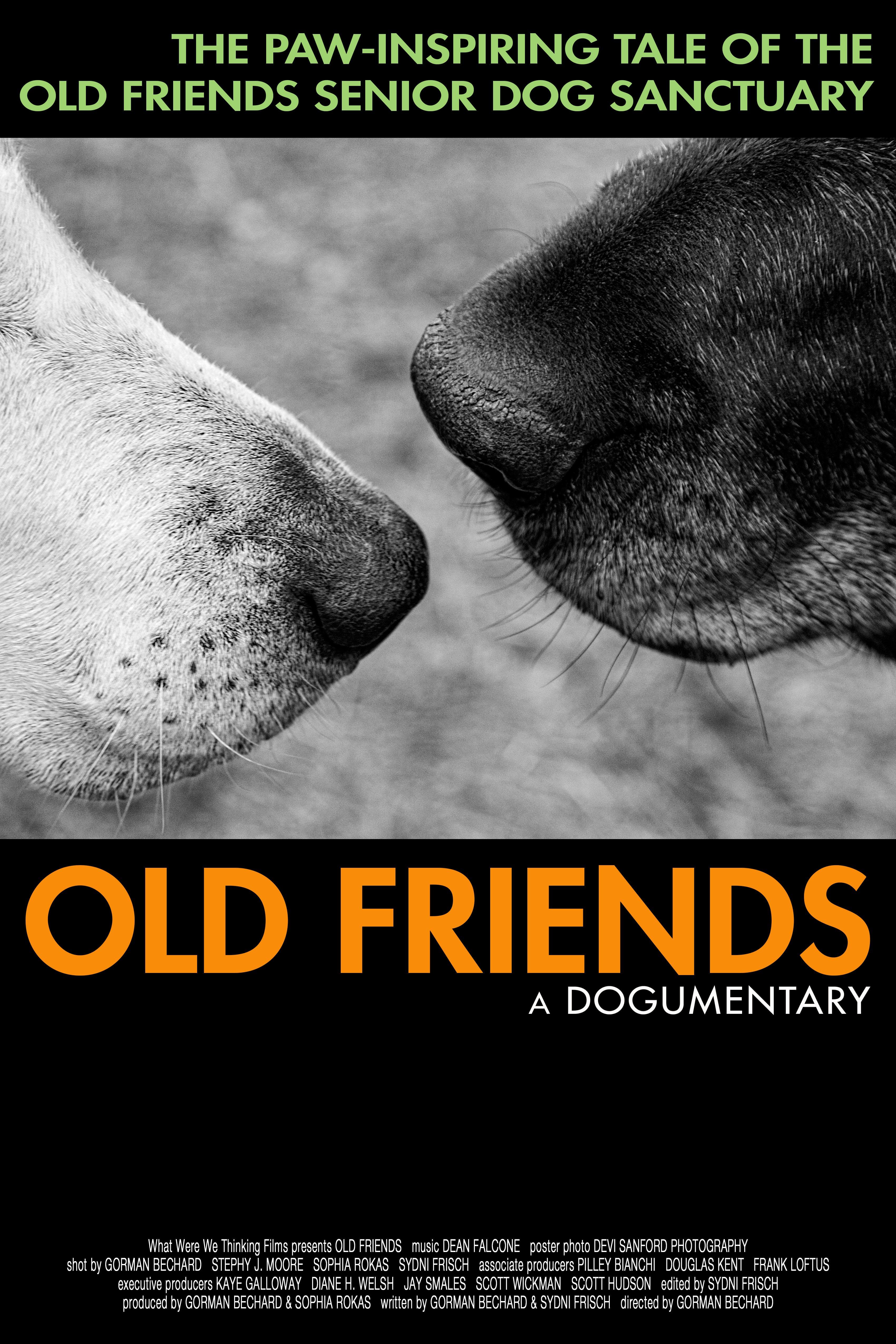 Old Friends: A Dogumentary