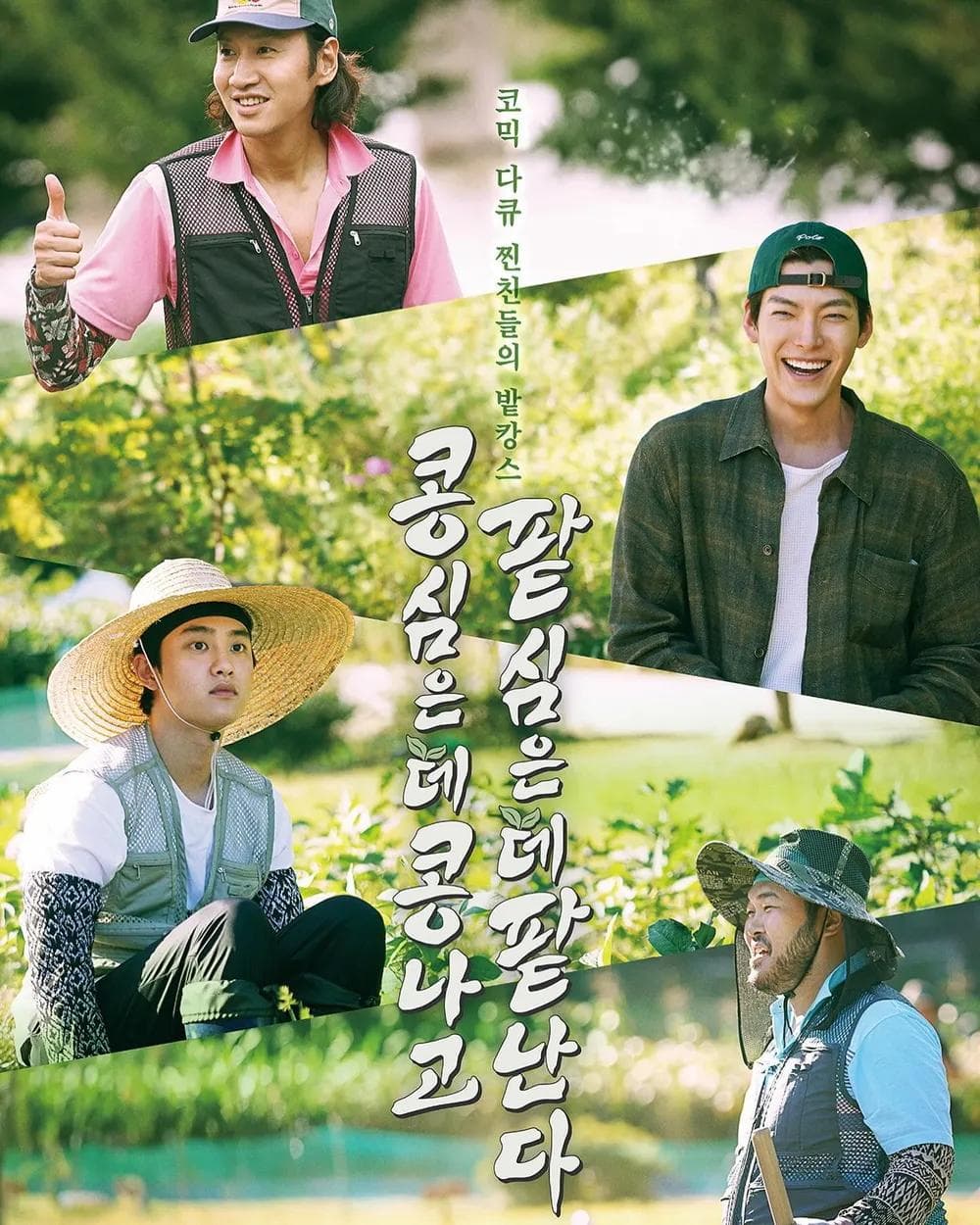 Green Bean, Red Bean: Reap What You Sow