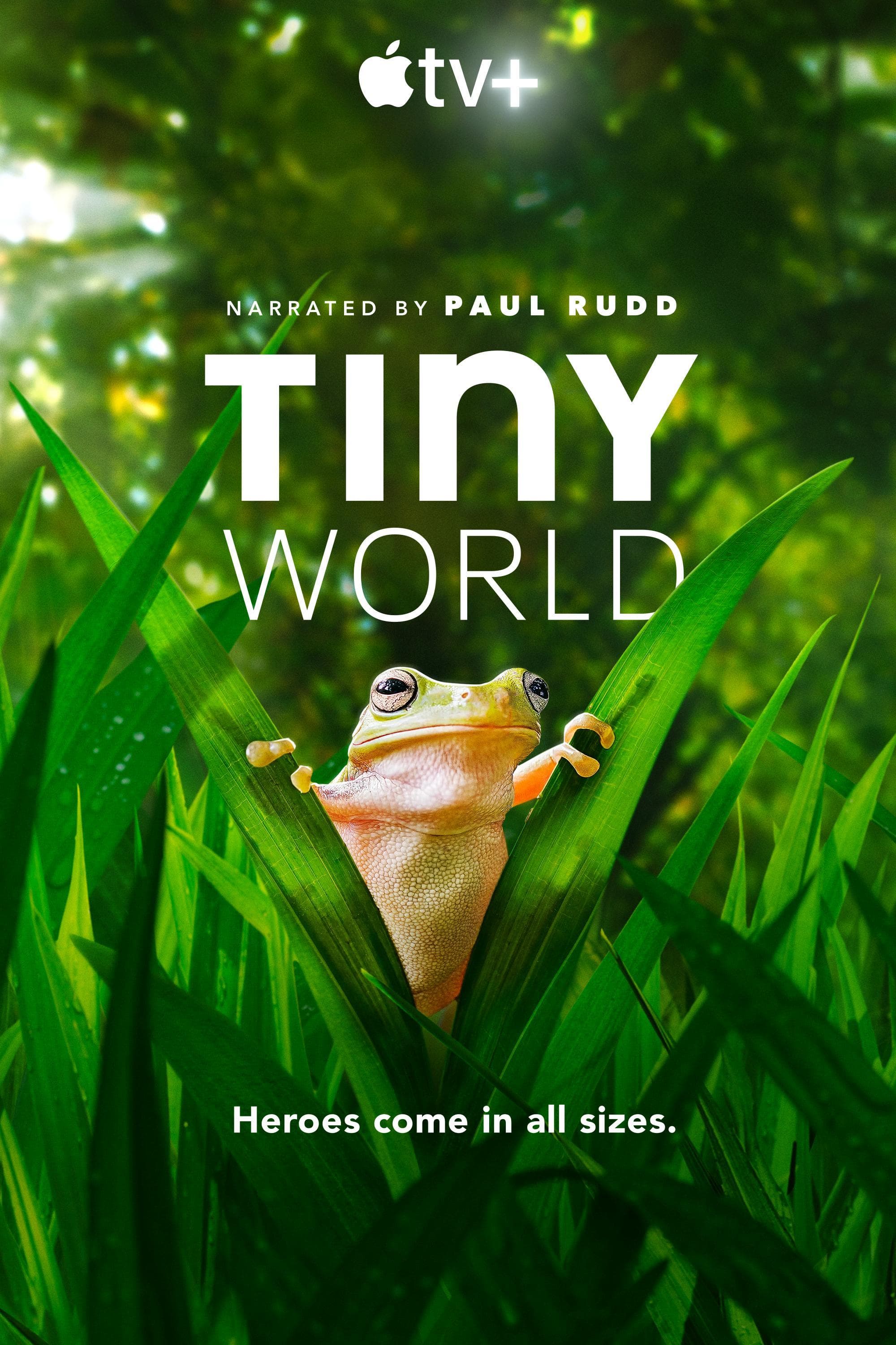Tiny World S1-S2