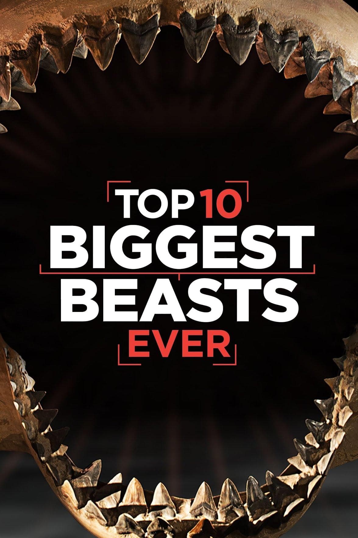 World's Biggest Beasts