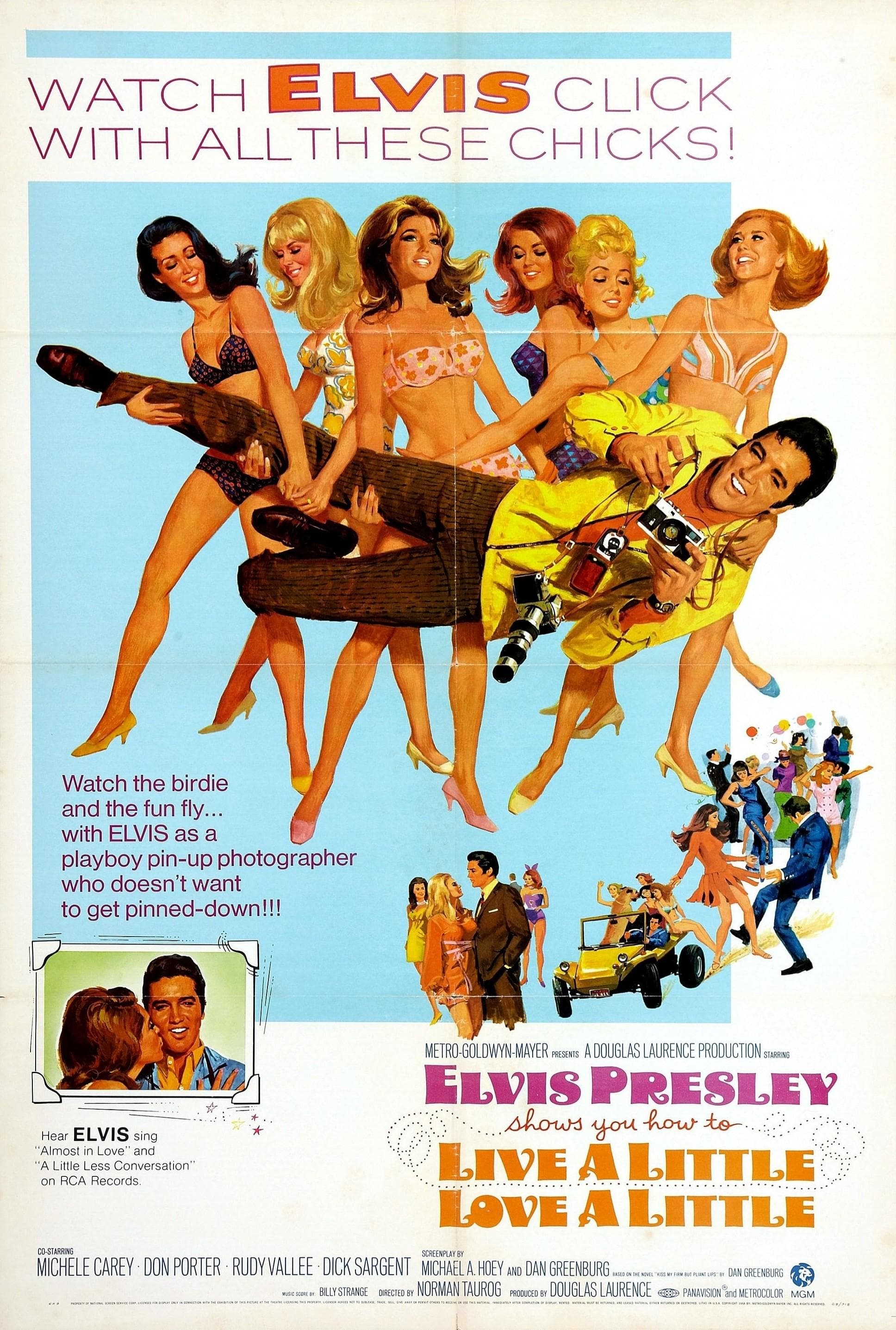 Live a Little, Love a Little