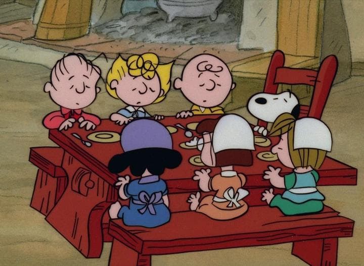 The Mayflower Voyagers