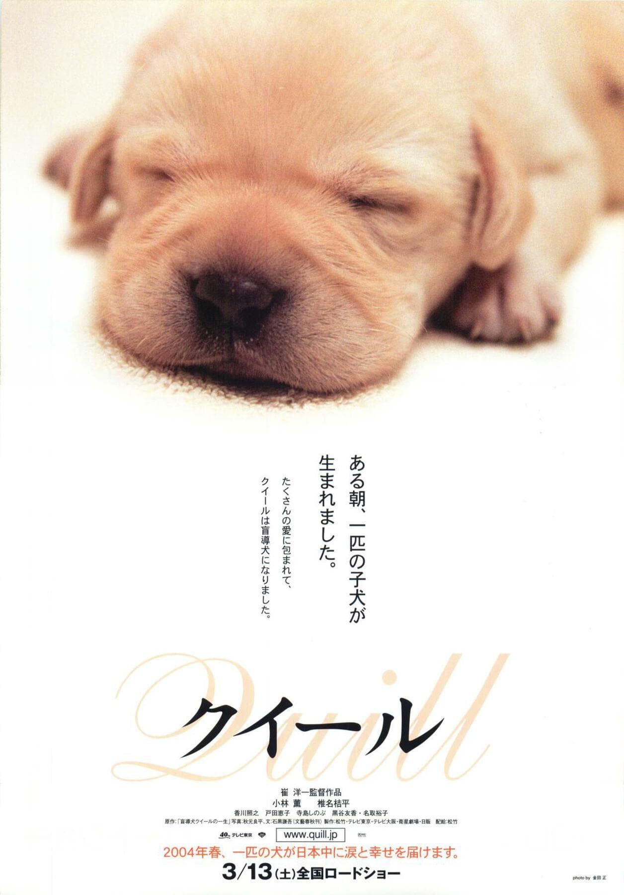 Quill: The Life of a Guide Dog