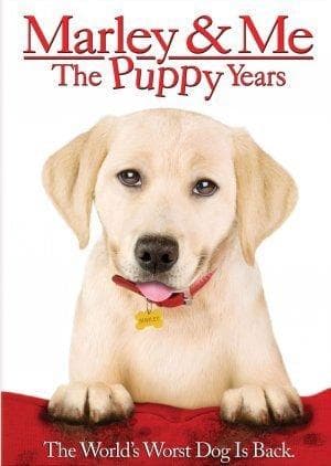 Marley & Me: The Terrible 2's