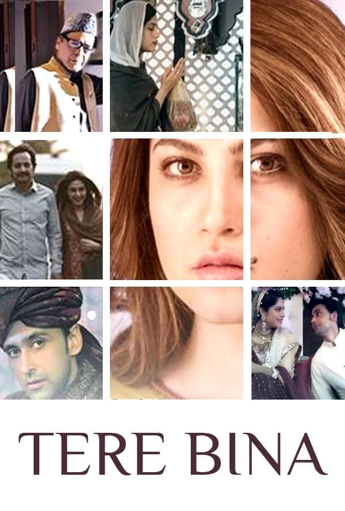 Tere Bina