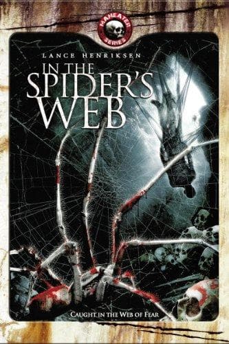 In the Spider's Web