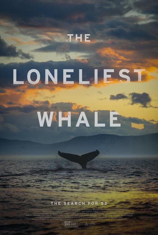 The Loneliest Whale: The Search for 52