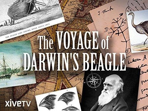 Voyage of Darwin's Beagle: On the Future of Species