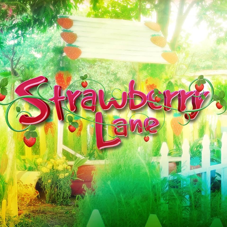 Strawberry Lane