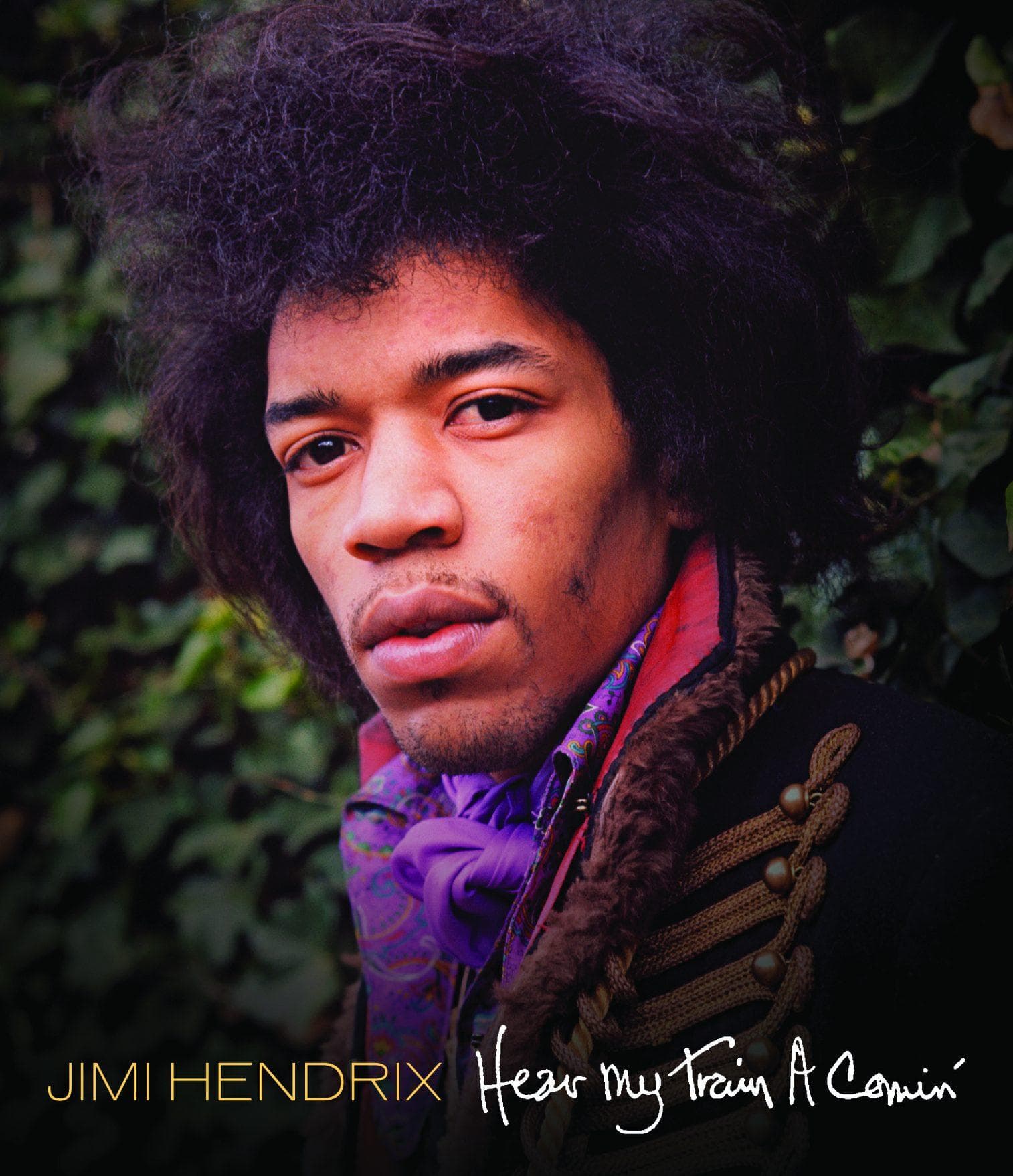 Jimi Hendrix: Hear My Train a Comin'