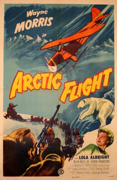 Arctic Flight
