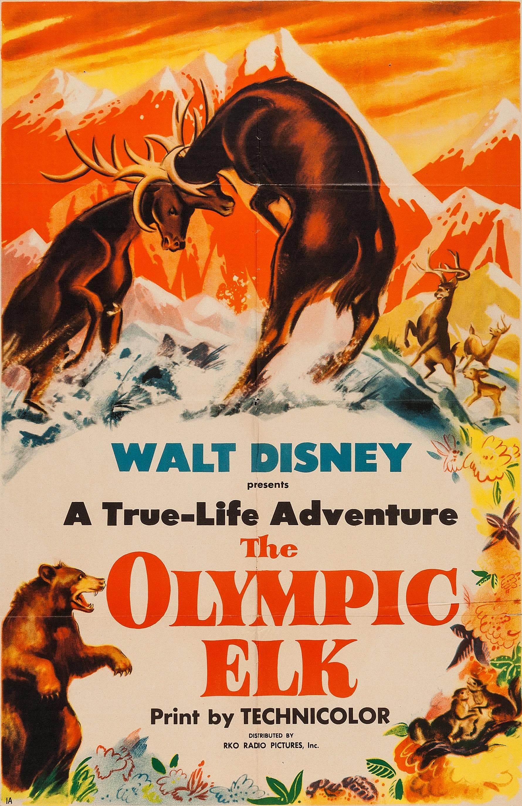 A True-Life Adventure: The Olympic Elk