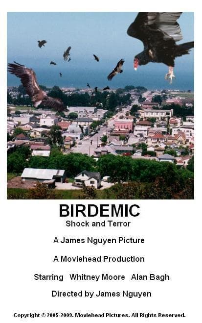 Birdemic: Shock and Terror