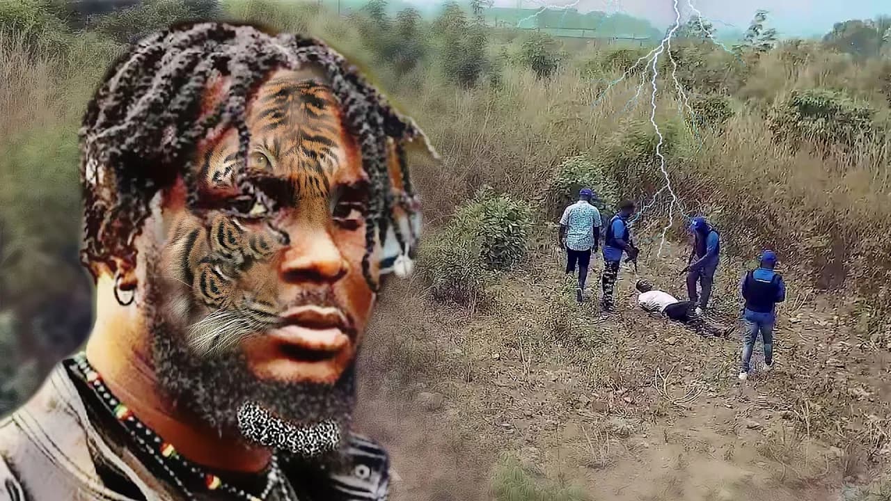 Wale Tiger: Gbengbeleku