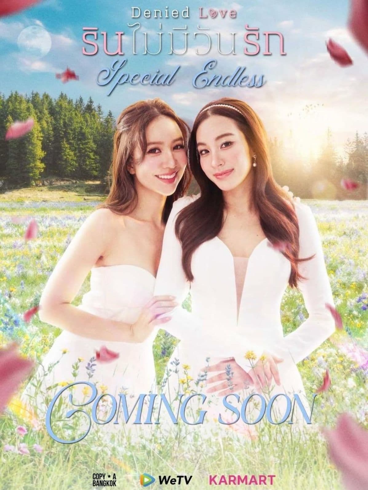 Denied Love Special Endless