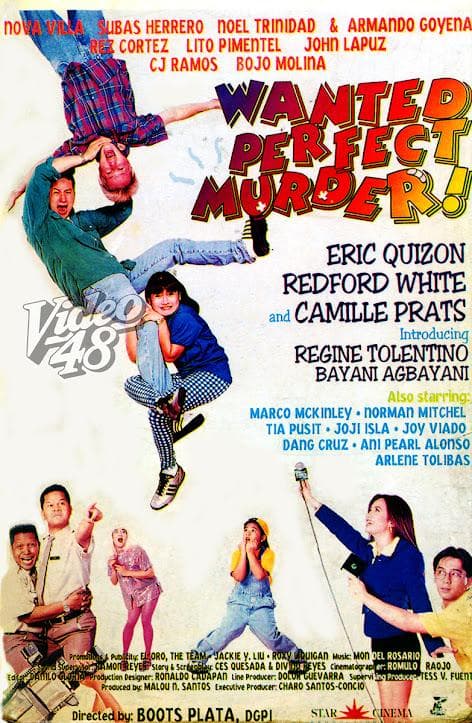 Wanted Perfect Murder