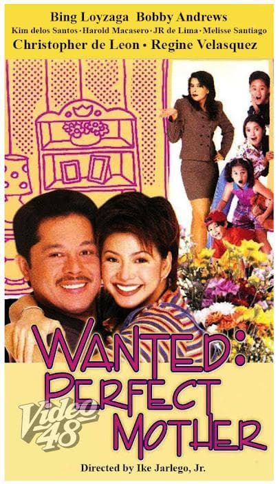 Wanted: Perfect Mother