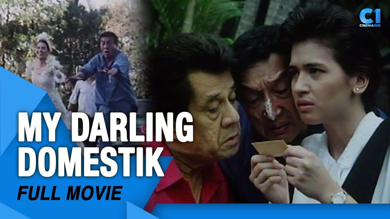 My Darling Domestik