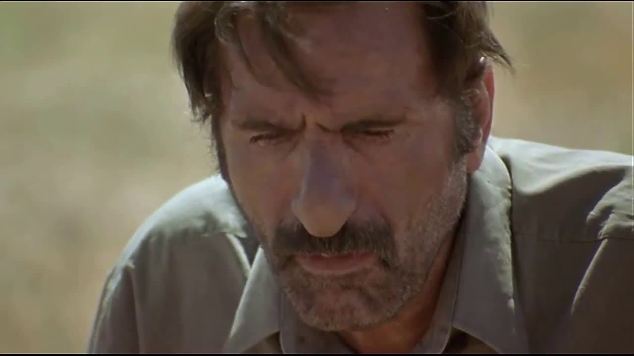 Le Chant des moineaux