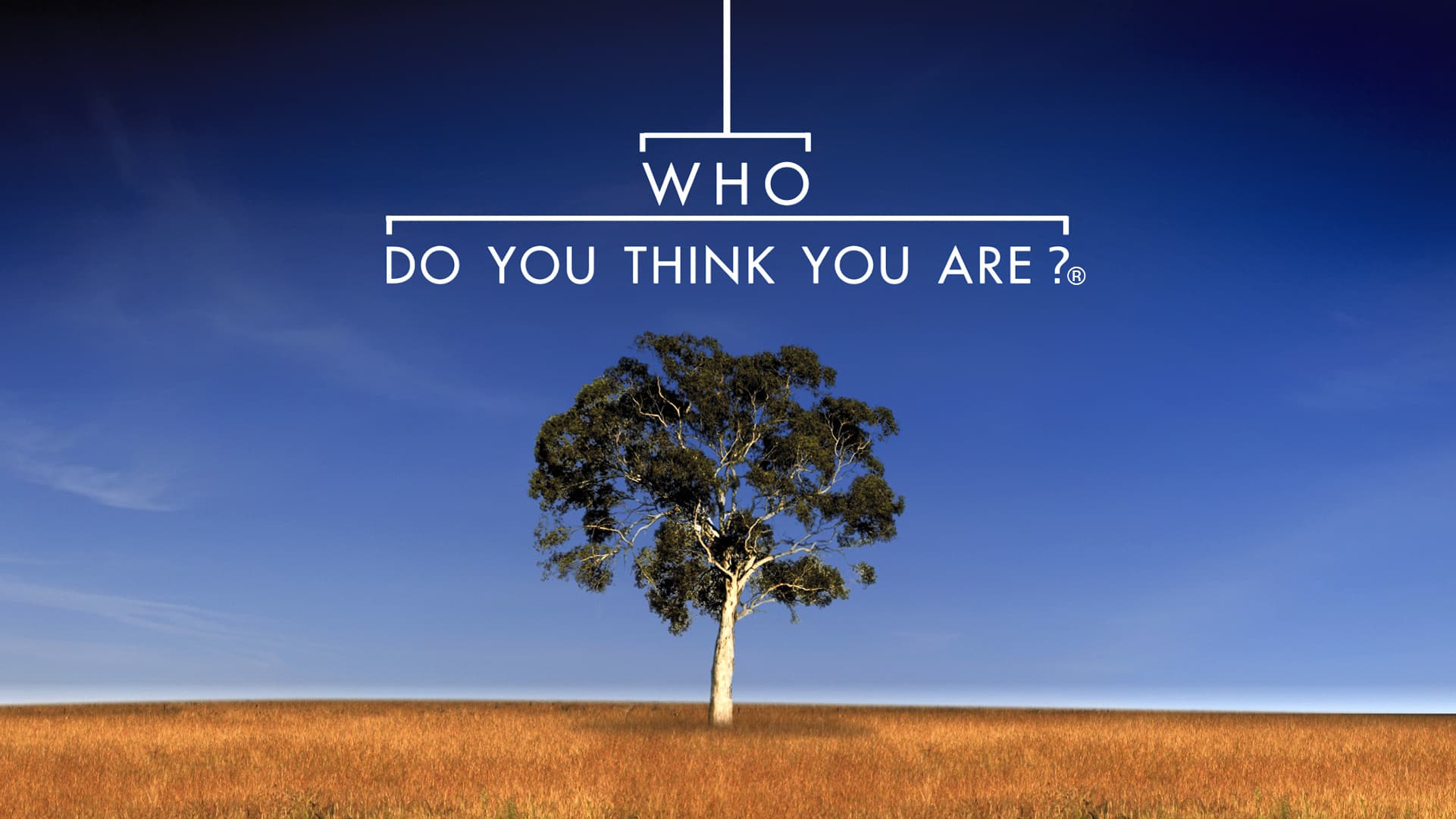 Who Do You Think You Are? S14-S16