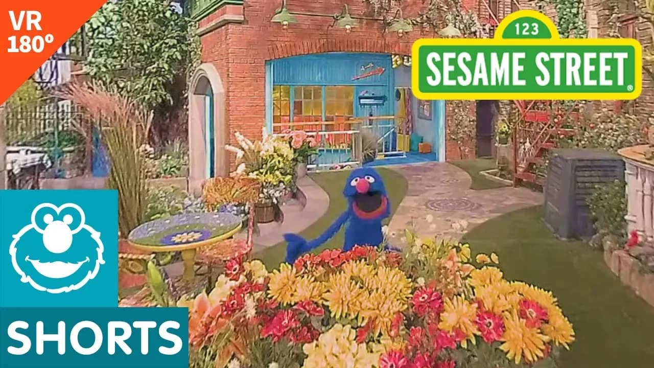 Sesame Street: Grover Shows Near and Far in VR 180 Video!