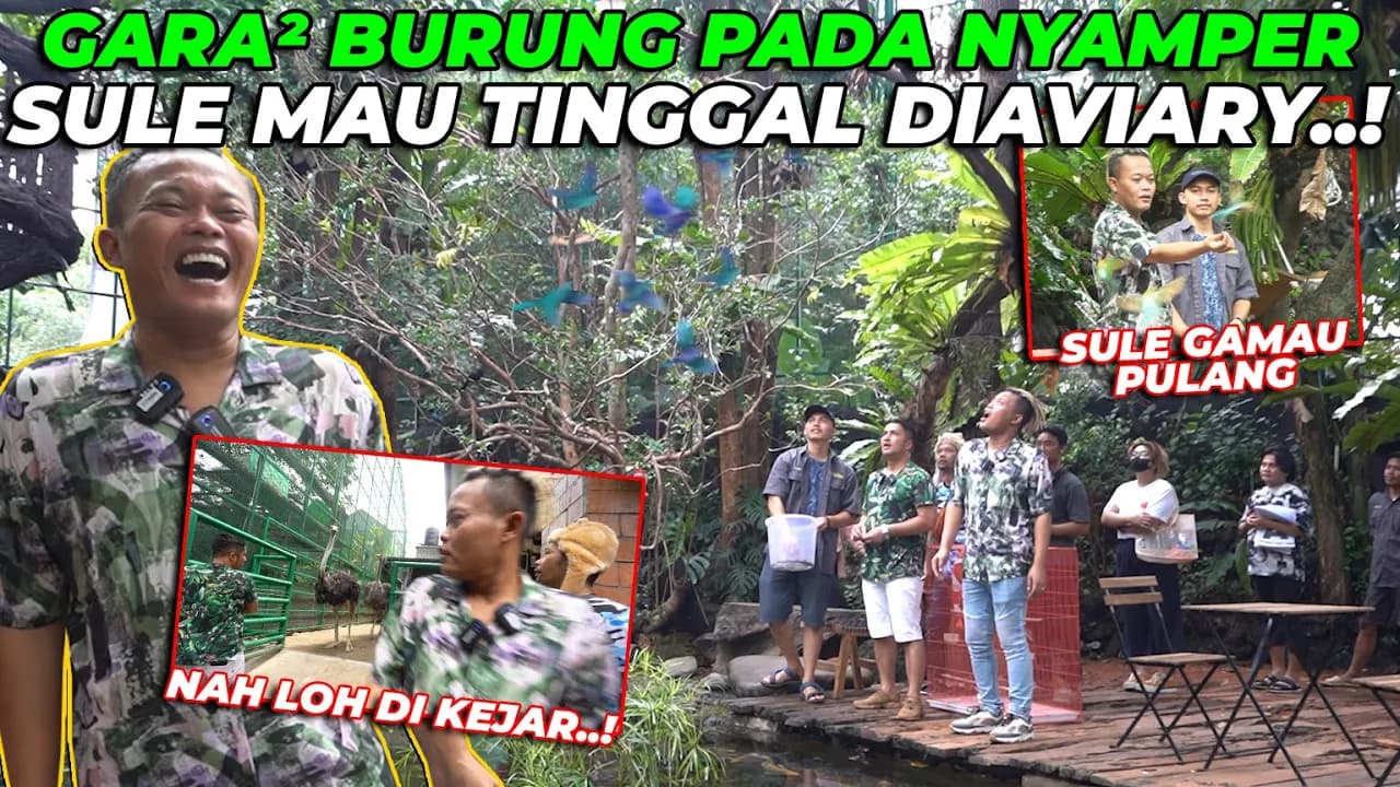 SULE KAGET ADA HUTAN HUJAN TROPIS DITENGAH KOTA..! TALI POCONG DEWASA BERKELIARAN DI AVIARY..